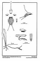  no thumbnail available