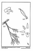  no thumbnail available