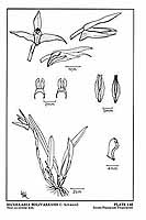  no thumbnail available