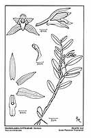  no thumbnail available