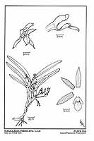  no thumbnail available