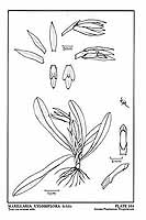  no thumbnail available