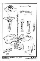  no thumbnail available