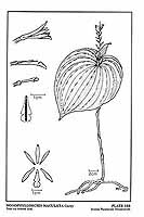  no thumbnail available