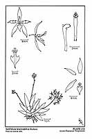  no thumbnail available