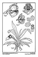  no thumbnail available