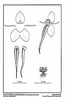  no thumbnail available