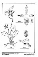  no thumbnail available