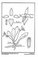  no thumbnail available