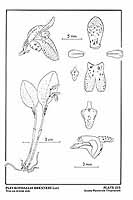  no thumbnail available