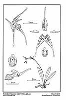  no thumbnail available