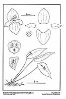  no thumbnail available