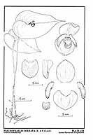  no thumbnail available