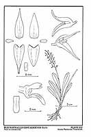  no thumbnail available