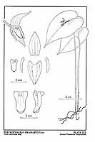  no thumbnail available