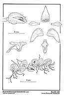  no thumbnail available