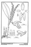  no thumbnail available