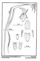  no thumbnail available