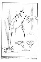  no thumbnail available