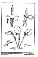  no thumbnail available