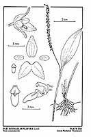  no thumbnail available