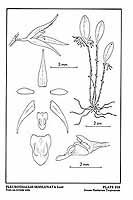  no thumbnail available