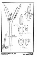  no thumbnail available