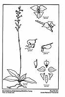  no thumbnail available