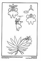  no thumbnail available