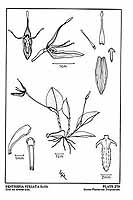  no thumbnail available