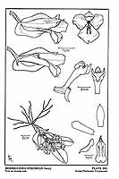  no thumbnail available