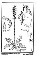  no thumbnail available