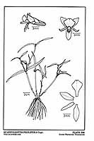  no thumbnail available