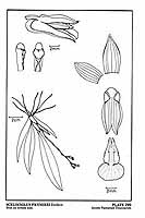  no thumbnail available