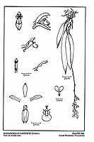  no thumbnail available