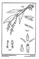  no thumbnail available