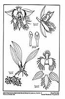  no thumbnail available