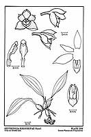  no thumbnail available