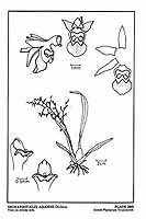  no thumbnail available