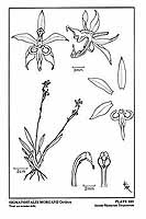  no thumbnail available