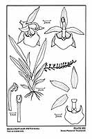  no thumbnail available