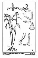  no thumbnail available