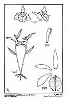  no thumbnail available