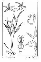  no thumbnail available