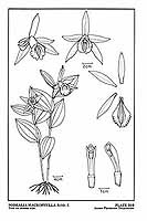  no thumbnail available