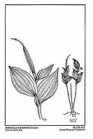  no thumbnail available