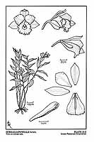  no thumbnail available