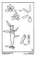  no thumbnail available