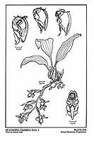  no thumbnail available