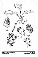  no thumbnail available